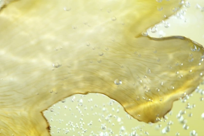 Rhäzünser — Craft Lemonade, directed by Torsten Eichten