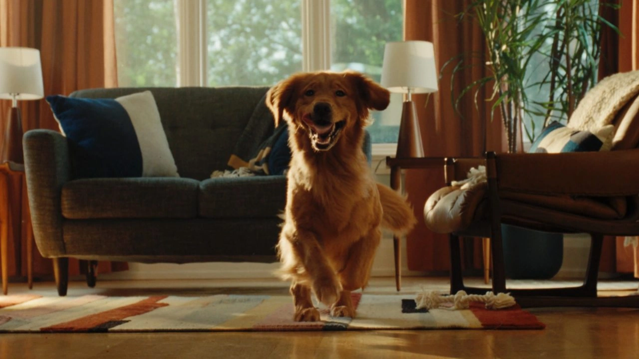 Freshpet — Bursting with Fresh, directed by Torsten Eichten
