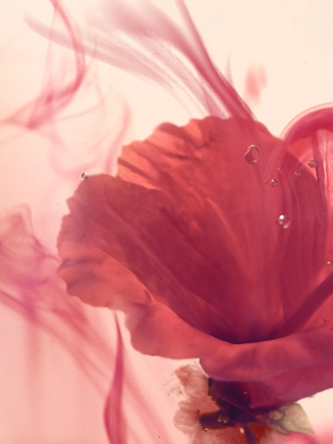 Twinings — Tea, directed by Torsten Eichten